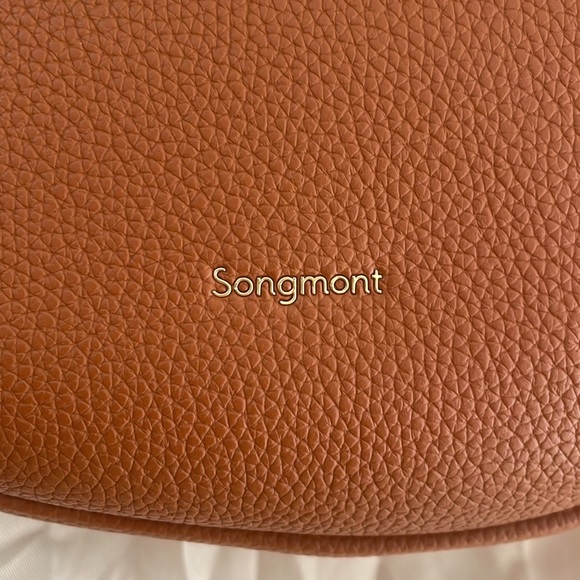 🤎 Songmont Luna Bag in Caramel 🤎 - Picture 3 of 16